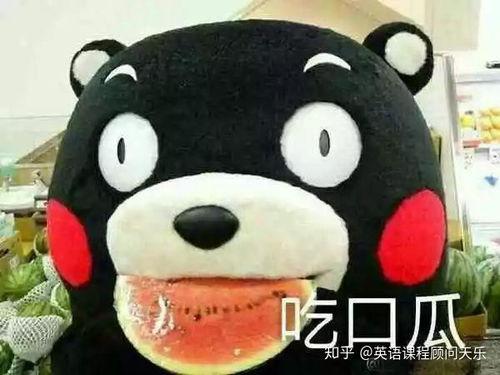 形容围观吃瓜,一场围观吃瓜的狂欢盛宴