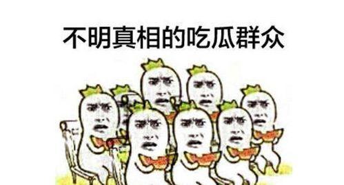 吃瓜群众儿子,揭秘娱乐圈背后的故事