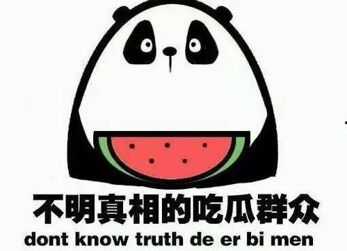 你吃瓜来了,吃瓜群众视角下的娱乐圈风云录