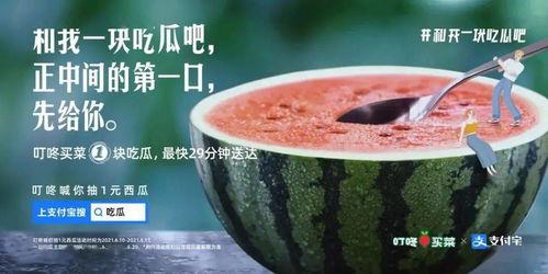 吃瓜吧程女士,揭秘娱乐圈幕后故事