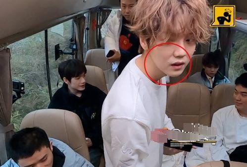 五哈吃瓜视频,揭秘娱乐圈幕后真相，带你领略明星们的真实生活