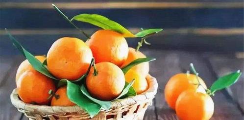 桔瓜宝宝可以吃吗,桔瓜宝宝适宜食用指南