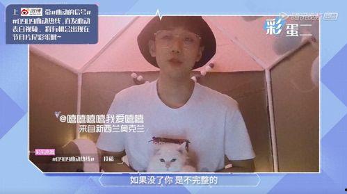 心动的信号6吃瓜,揭秘明星恋爱背后的甜蜜与心酸