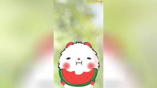 老鼠们吃瓜直播,老鼠们的美食盛宴