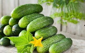 吃涩涩的瓜,揭秘吃涩涩瓜的甜蜜奥秘