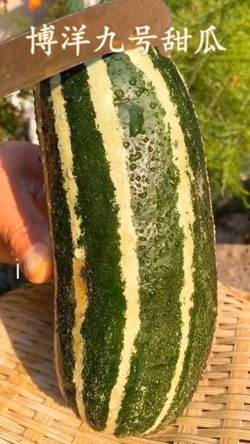 秋瓜熟了可以吃吗,秋季养生美食大推荐