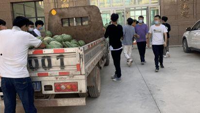 单县吃瓜新闻事件,一场引发全民热议的“瓜田风波”