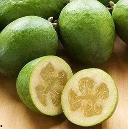 吃货米瓜,探寻吃货米瓜的独特味蕾世界