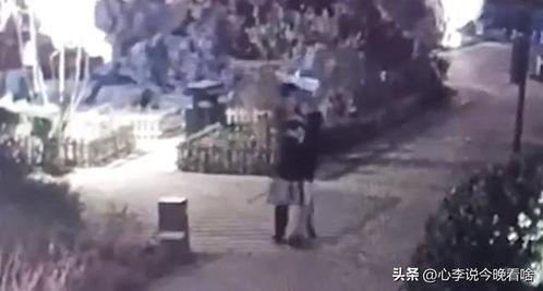 韩城吃瓜杀手视频,揭秘幕后故事与网友热议